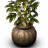 Noop1Sliva