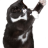 dismiss44